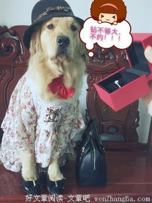 当00后开始堕胎流产……