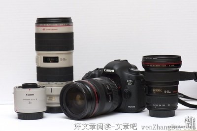《大三元》经典影评集