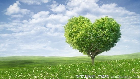 赵薇格言警句
