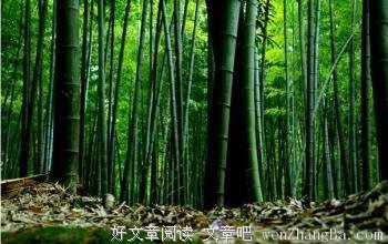 关于不可抗力的名句摘抄