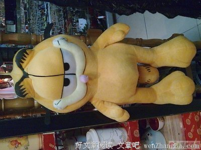 15条关于小猫的经典语句