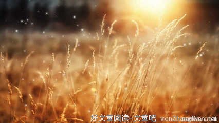 关于大干一场的名句摘抄