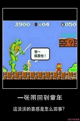 关于死猪不怕开水烫的格言