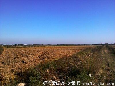 冬天，终于还是来了啊！