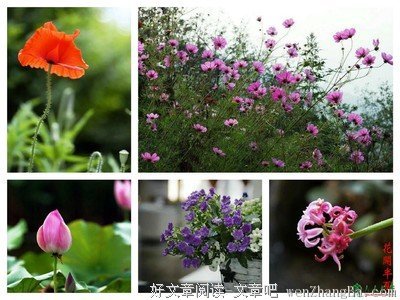 人生有情，无关风月