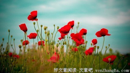 最新的罗曼·罗兰经典句子