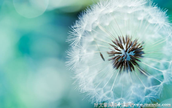 吝啬的名句_关于吝啬的名句