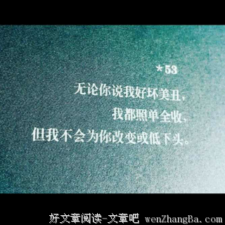 我爱你，可我总不能不要脸
