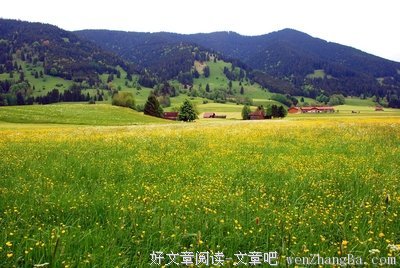 李宗盛的名言名句