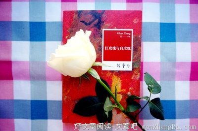朱砂痣的句子