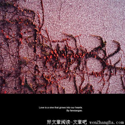 关于小高的名言