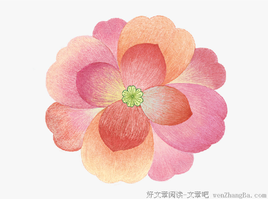 关于阿喵的语句