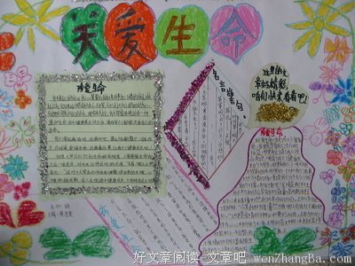 人生具备怎样的生命态度才会快乐