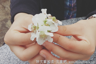 恨晚的句子
