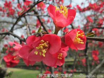 15条关于感人至深的经典语句