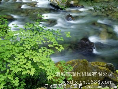关于累赘的名言