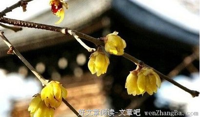 最经典的《好先生》经典句子