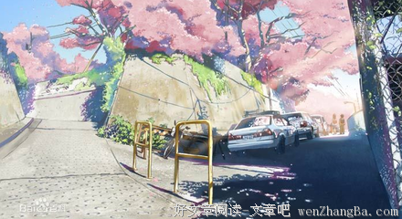 最全的《秒速5厘米》经典对白