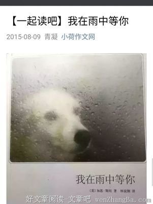 《我在雨中等你》：世间最纯粹的深情，莫过于此