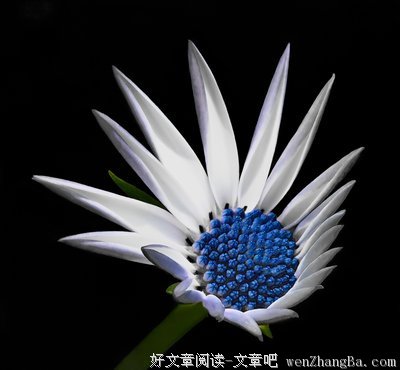 红尘的幸福，只是一种平衡