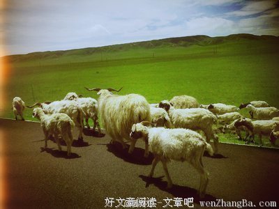 再见北京，对不起给你添乱了