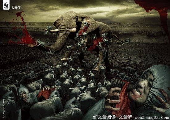 继《凤梨》之后，另一支”家长鸡汤“公益广告：我的小小的梦想，