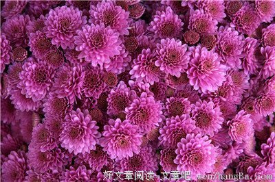 《在黑暗的河流上》读后感10篇