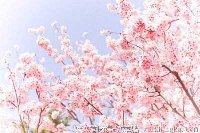 关于公平的唯美语录