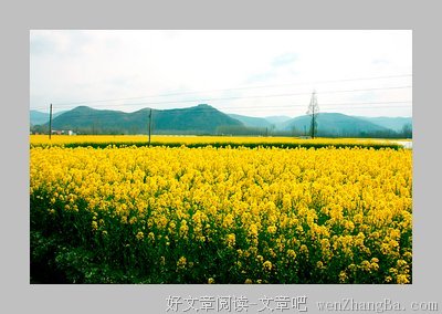 零零格言警句