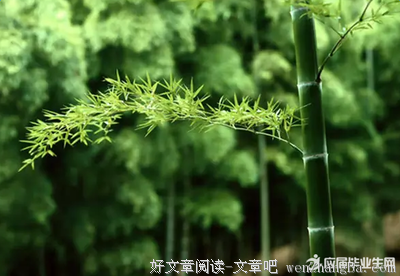 关于春夏秋冬名言名句