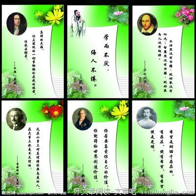 最全的萧红的名言名句