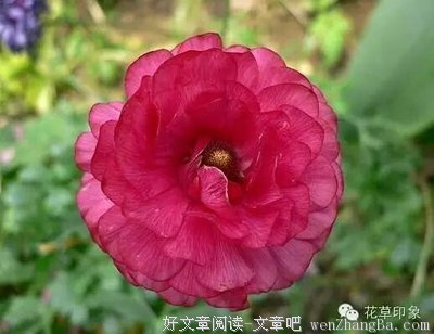 关于不配的座右铭