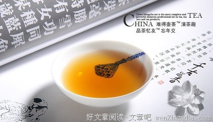 最新的《人生》小说句子