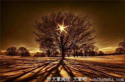 有关歉疚的美句摘抄