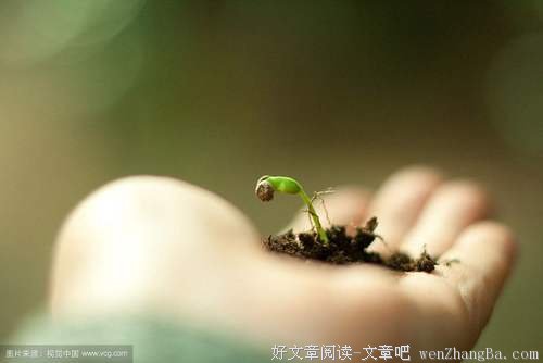 把光亮的开头比做人的初生，那么黑暗的降临就是人的结局