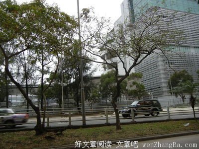 《女佣》观后感精选10篇