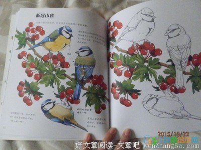 《一个人的涂鸦时光》读后感10篇