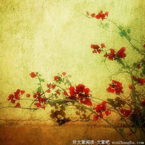 15条关于忠厚的经典语句