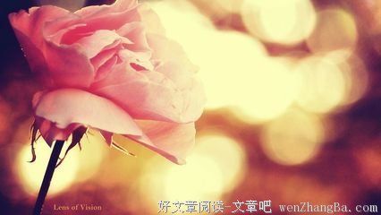 描写迷蒙的经典句子