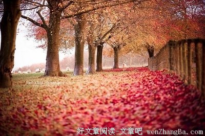有关天时地利人和的美句摘抄