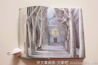 从你的全世界路过经典读后感10篇