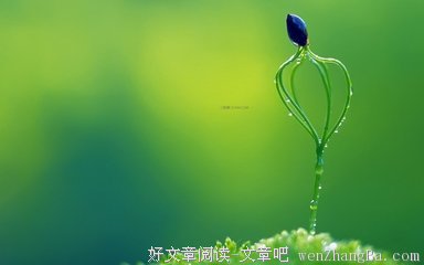 《开始爱，你还在》经典的句子
