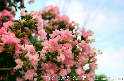 死寂的句子