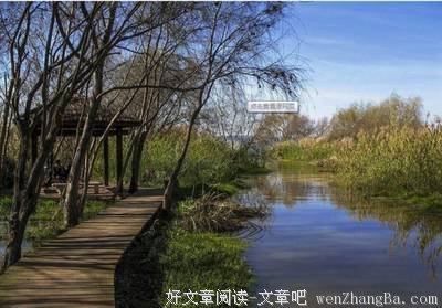 12岁小男孩脚疼，一查竟是痛风！妈妈悔死：我们都以为每天喝它很