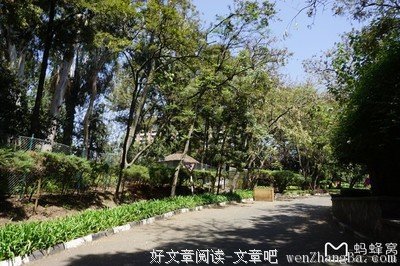 我穿着伴娘服参加了闺蜜的葬礼