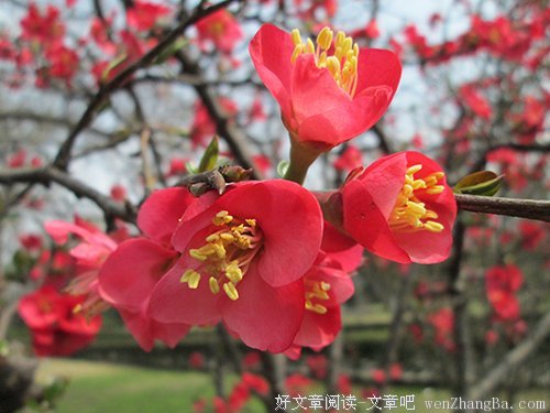没有节制的母爱，是一种暴力