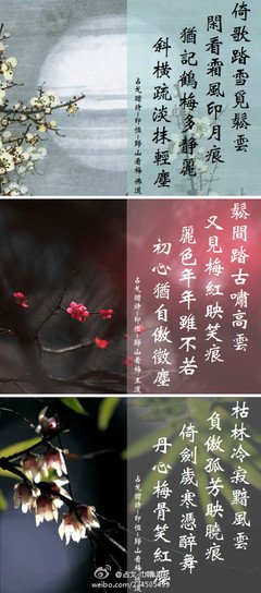 最经典的醉伊笑红尘精彩语录