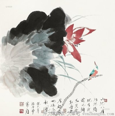 关于白石的语句