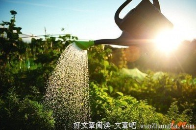 《当我谈跑步时我谈些什么》佳句摘抄