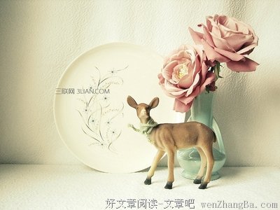 《蓝莓之夜》经典名句大全